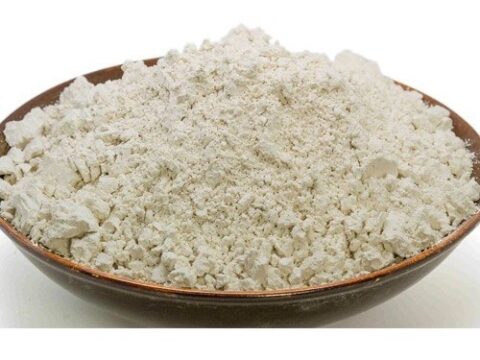 DIATOMACEOUS EARTH